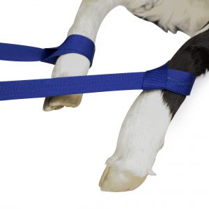 Kenet Calf Birth Rope